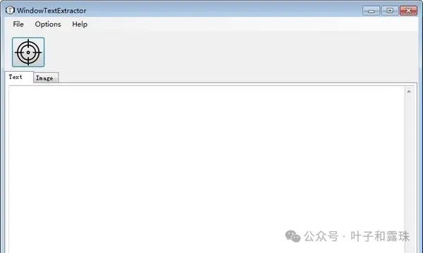 WindowTextExtractor窗口文本提取